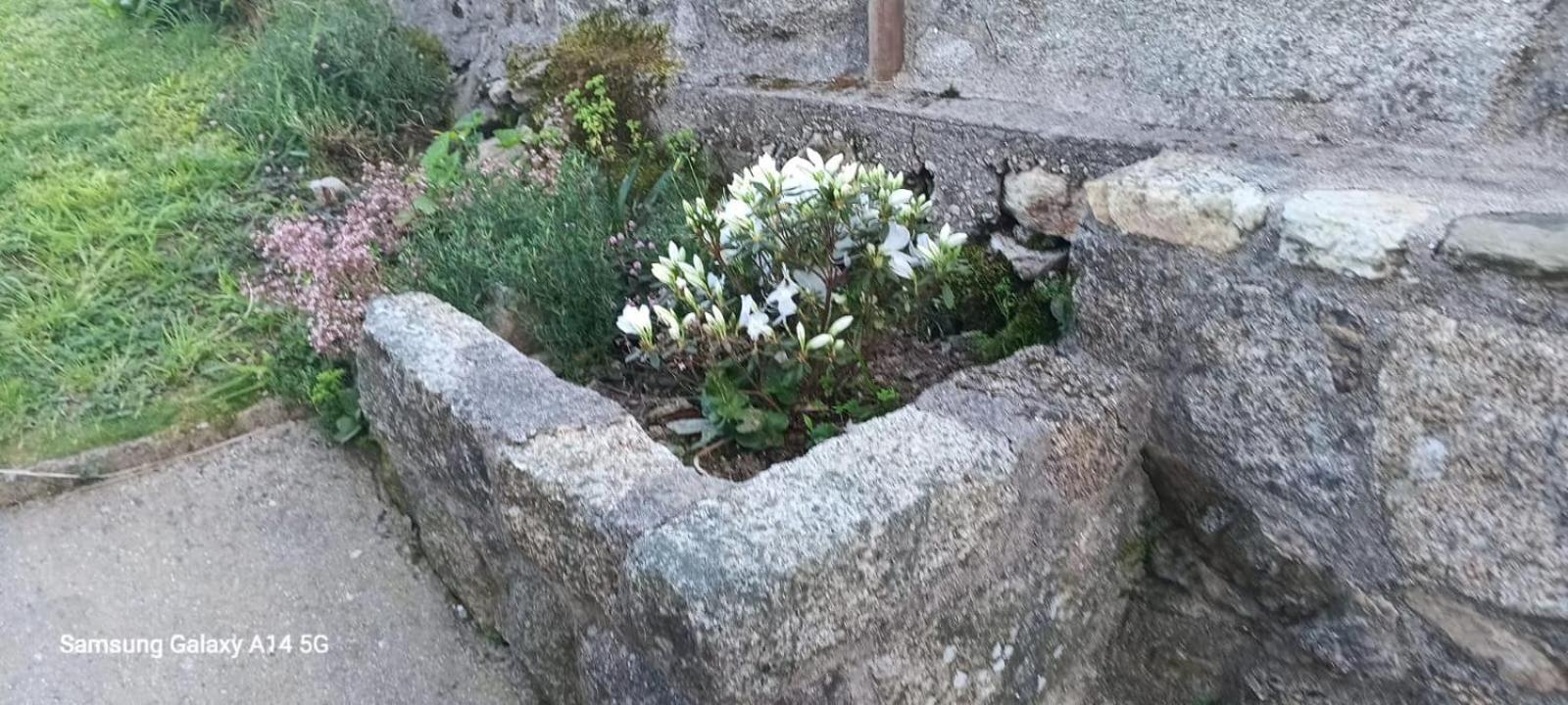 Casa Da Fonte Villa Pontevedra Oda fotoğraf